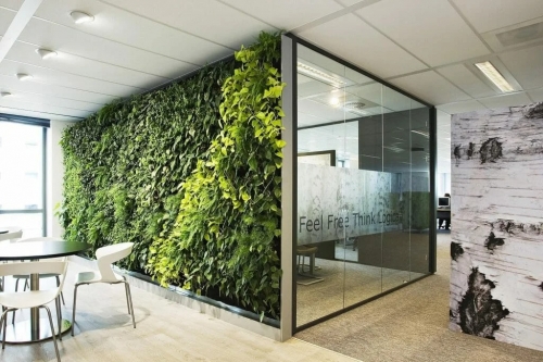 Các yếu tố thiết kế văn phòng sinh thái mang thiên nhiên vào nơi làm việc